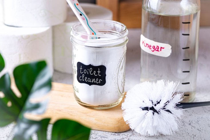 The Fizzy, All-Natural Toilet Bowl Cleaner That's Easy to Make